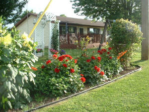 04flowers1.jpg