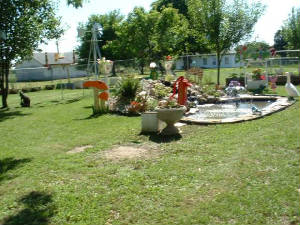 04flowers11.jpg
