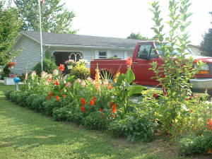 04flowers2.jpg