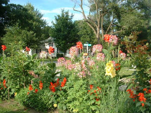 04flowers3.jpg