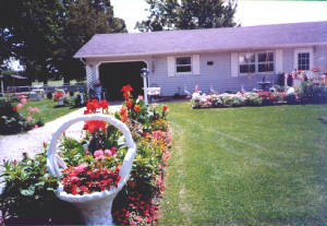 04flowers9.jpg